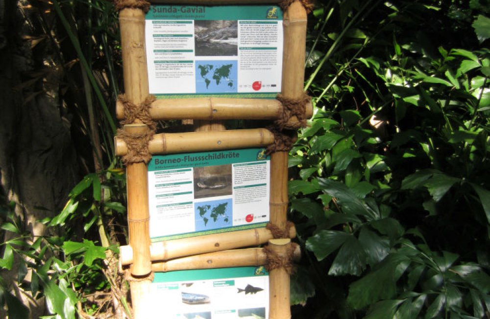 Infotafeln aus Bambus im Reptiliengehege, Zoo Leipzig