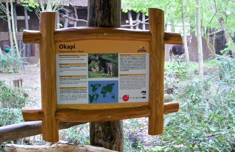 Infoschild aus Robinienholz beim Okapi, Zoo Leipzig