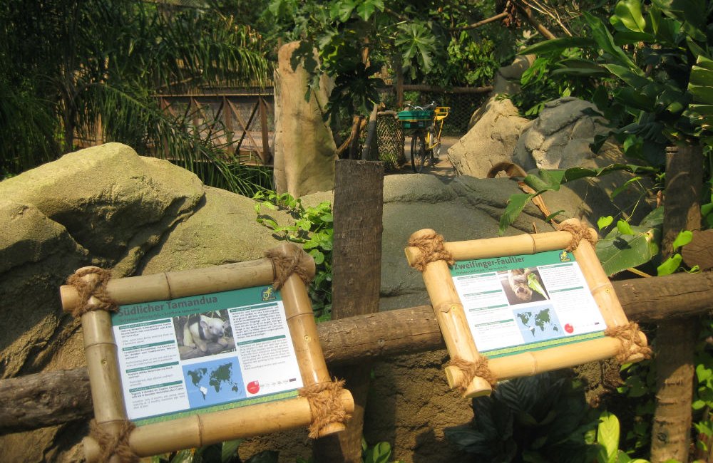 Infotafel aus Bambus beim Faultier, Zoo Leipzig