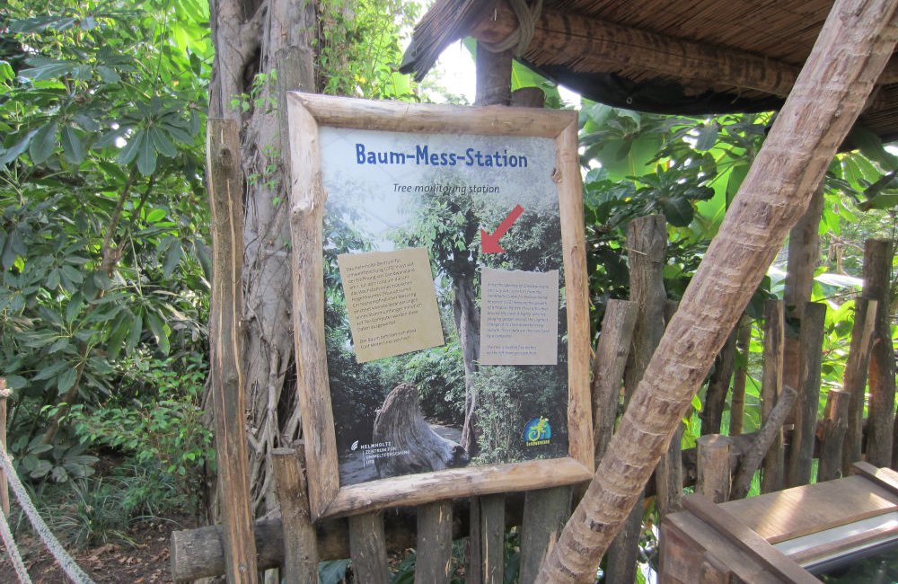 Infotafel Baum-Mess-Station, Zoo Leipzig