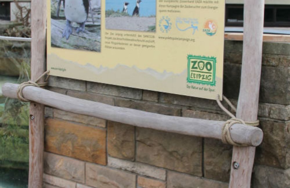 Aufsteller Pinguine im Zoo Leipzig