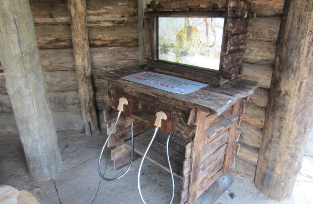 Lehrstation mit Info-Monitor bei den Amurleoparden, Zoo Leipzig