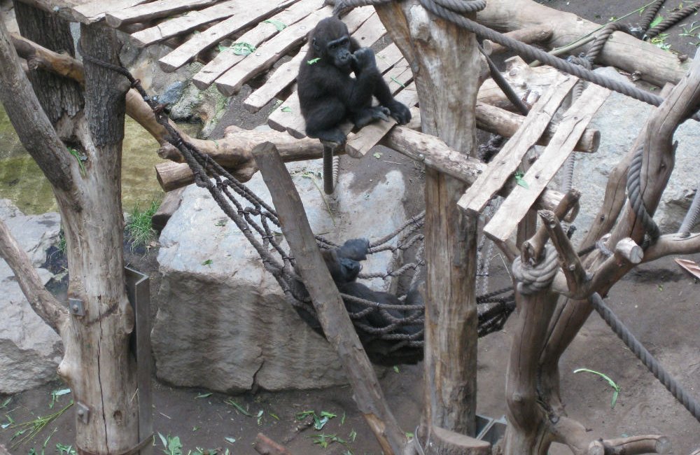 Dreieckiges Netz als Affen-Nest im Zoo Leipzig