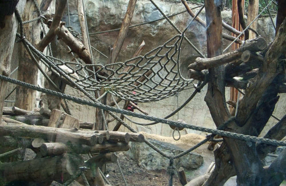 Affennetze im Zoo Paris