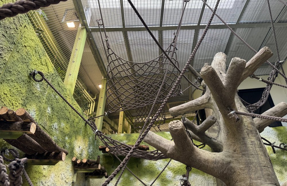 Affennetze im Zoo Paris