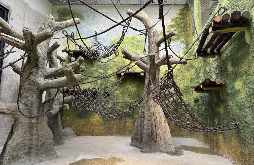 Affennetze im Zoo Paris