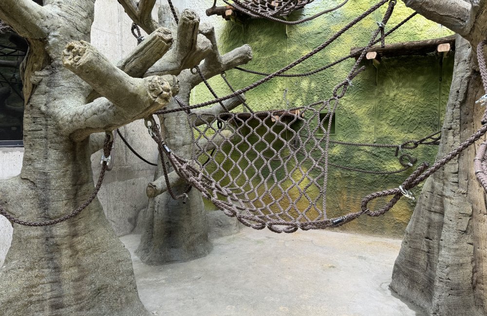 Affennetze im Zoo Paris